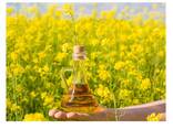 Cheap Wholesale Top Quality Refined Rapeseed Oil / Canola Oil / Crude rapeseed oil In Bulk - фото 1