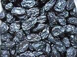 Чернослив сорт Венгерка, с косточек за кг от 165 до 170 шт. - фото 2