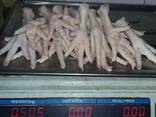 Chicken Feet and chicken paws and whole halal chicken at the best prices with prompt shipp - фото 5