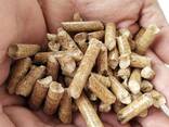 EN PLUS A1 standard wood pellets for sell - фото 2