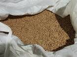 Factory Supply Wood Pellets With High Calorific Value 4950Kcal/kg For Sale