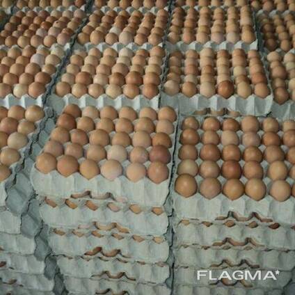 Farm Fresh Table Eggs, Fertilized Chicken Hatching Eggs/ White and Brown Chicken Table Egg