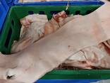Frozen pork back fat - фото 3