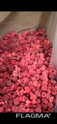 Frozen Raspberry IQF