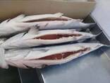 Frozen Seafood Sale / Salmon From Norway - 100% Export Quality Salmon Fish
