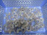 Frozen Vannamei Shrimp Origin Europe - фото 1