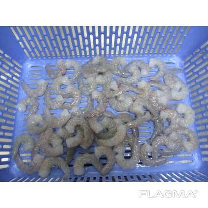 Frozen Vannamei Shrimp Origin Europe