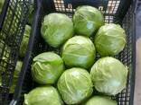 Fruits and vegetables of Serbian origin - фото 3
