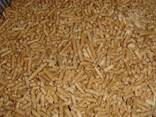 High quality EN | DIN premium wood pellets - фото 1