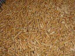 High quality EN | DIN premium wood pellets