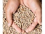 High quality Wood Pellet Din Plus / EN Plus-A1 Wood Pellet - фото 2