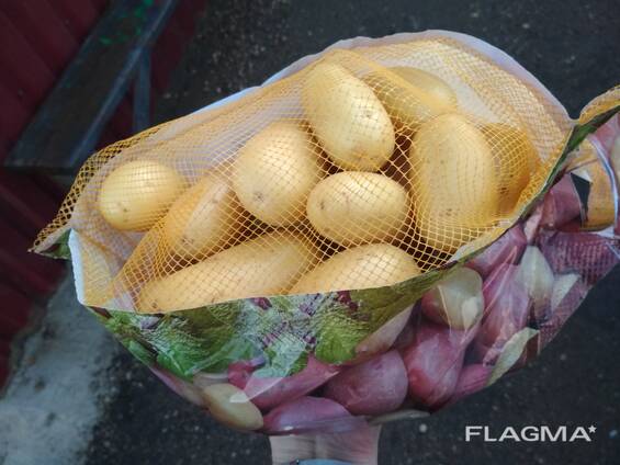 Картофель мытый