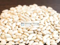 Kyrgyz kidney beans (tetovac)