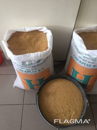 Лён золотистый - Flax golden