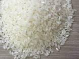 Medium grain elite rice, Camolino, other grains - photo 1