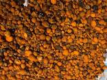 Natural Cattle/Ox Gallstones - фото 4
