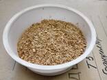 Отруби пшеничные - фото 1