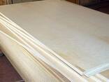 Фанера (береза, ольха) ФК и ФСФ - фото 1