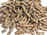 Quality 100% wood pellets biofuel/Pine and oak wood pellets - photo 3
