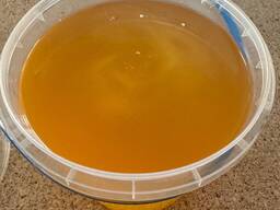 Prirodni pčelinji med | Izvoz | Sertifikovan | Ukrajina | Homogenizovani cvetni med