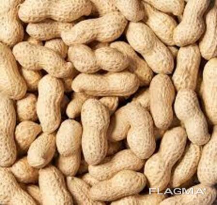 Продается неочищенный арахис оптом из Узбекистана
