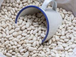 Prodajem beli pasulj