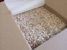 Продам ядро кондитерского подсолнечника от 22 т.