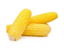 Sell Yellow Corn Maize Grains for Animal Feed / Animal Feed Corn Maize