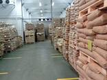Skimmed Milk Powder - фото 2