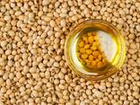 Soybean oil/Сојино уље - фото 1