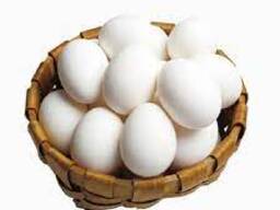 Top Quality Pure White / Brown Shell Fresh Table Chicken Eggs For Sale At Wholesale