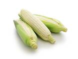Top Selling Non GMO Yellow Maize Corn/ Yellow Corn White Corn/Air Dried Yellow Maize Corn - фото 1