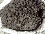 Peat soil for growing champignons - photo 3