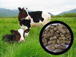 Bedding for farm animals, straw granulate - фото 1