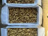Walnut kernels, walnut shell wholesale. - фото 2