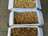 Walnut kernels, walnut shell wholesale. - фото 3