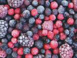 Ягоды замороженные - photo 1