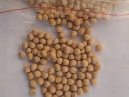 Желтый и зеленый горох